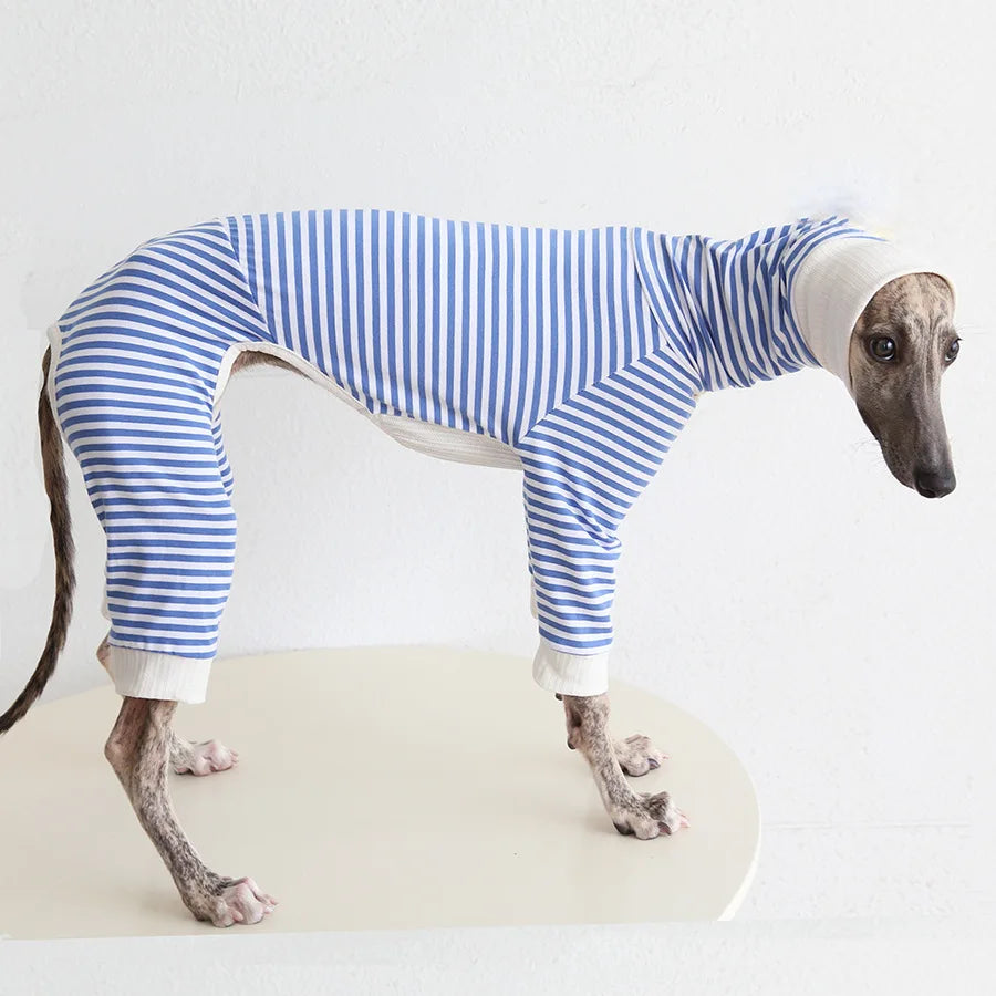 Wellington 4 pernas inverno outono roupas para animais de estimação XS-2XL galgo coisa cão jumpers moletom algodão macio pijamas de uso interno