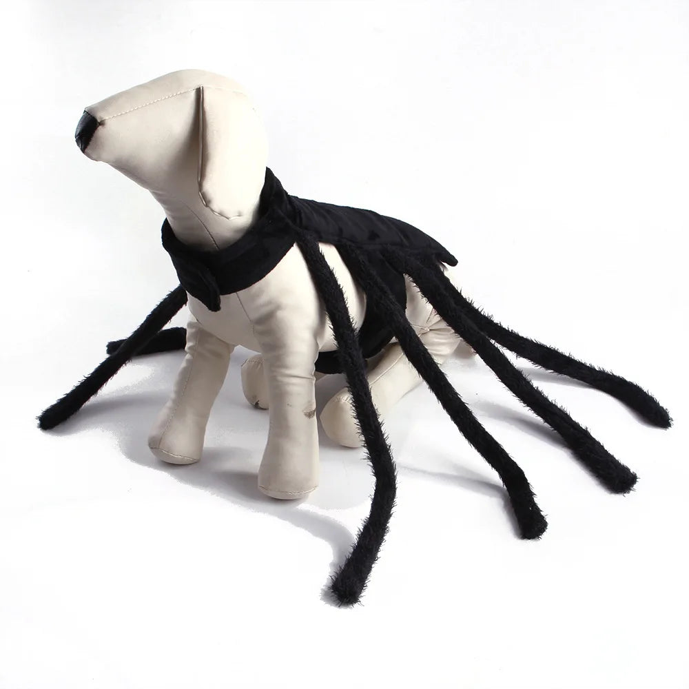 Fantasia de Aranha para Gatos e Cães Pequenos e Médios para o Halloween, Roupa Engraçada para Cosplay, Fantasia de Festa para Filhotes