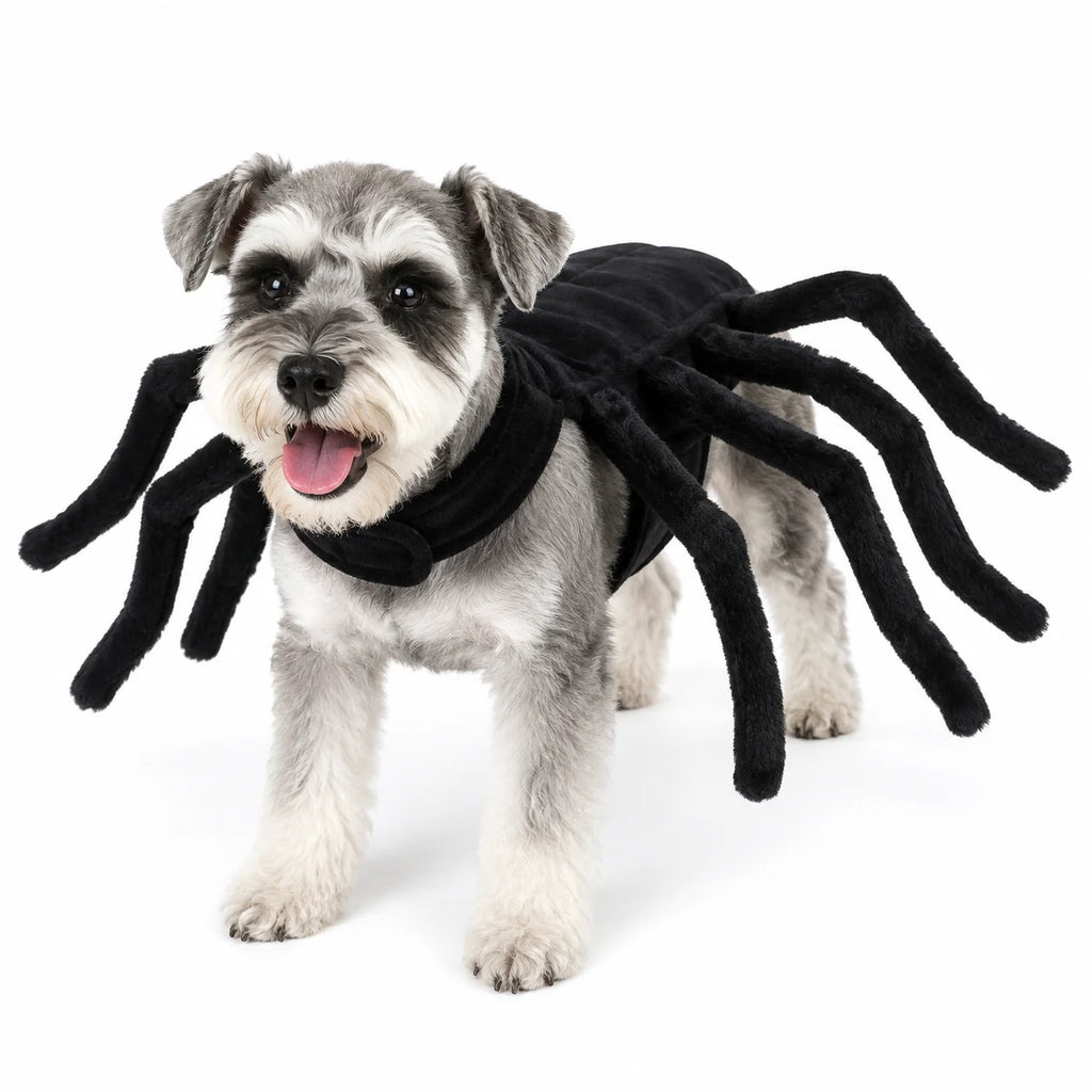 Fantasia de Aranha para Gatos e Cães Pequenos e Médios para o Halloween, Roupa Engraçada para Cosplay, Fantasia de Festa para Filhotes