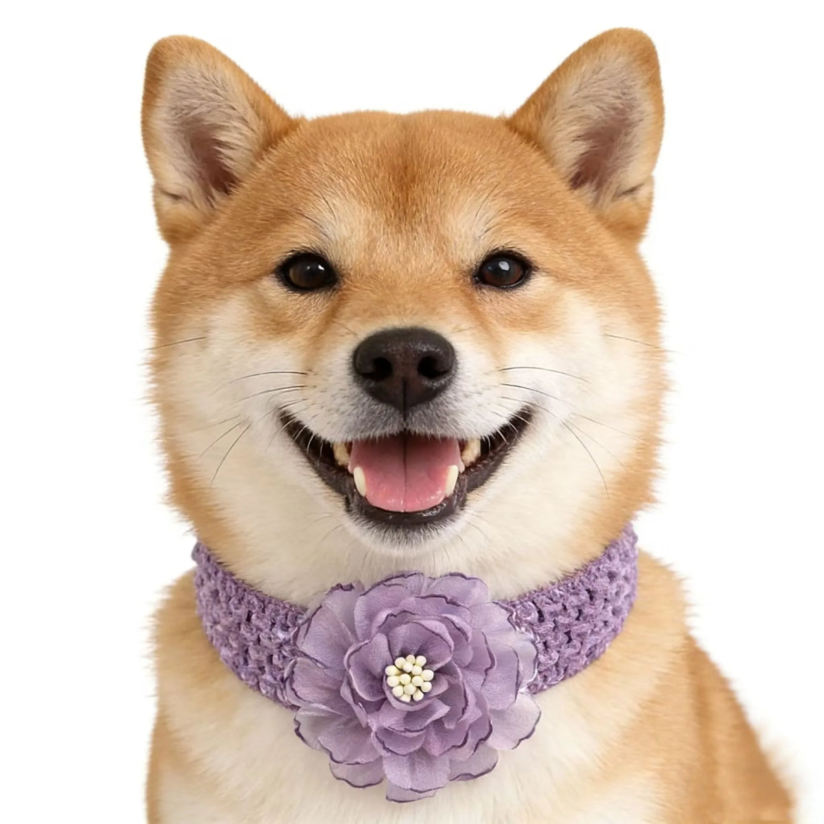 50/30 peças Gravata Borboleta para Cães Estilo Páscoa com Elásticos, Flor de Chiffon Colorida, Coleira de Adorno para Cães, Suprimentos para Animais de Estimação