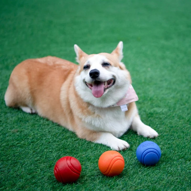Brinquedos para Cães de Estimação: Bola de Borracha Sólida e Resistente, Durável, Resistente à Mastigação, Alto Salto, para Lançar ao Ar Livre, Brincar de Busca e Treino Interativo para Filhotes
