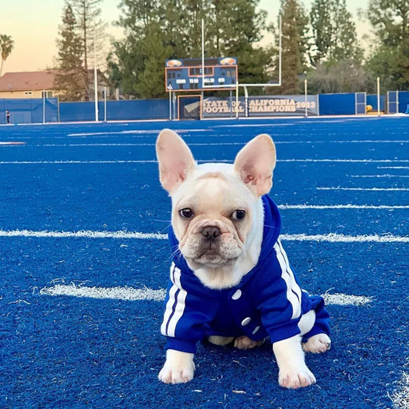 Roupa para animais de estimação roupas para cães pequenos cães médios roupa para cachorro com capuz moletom