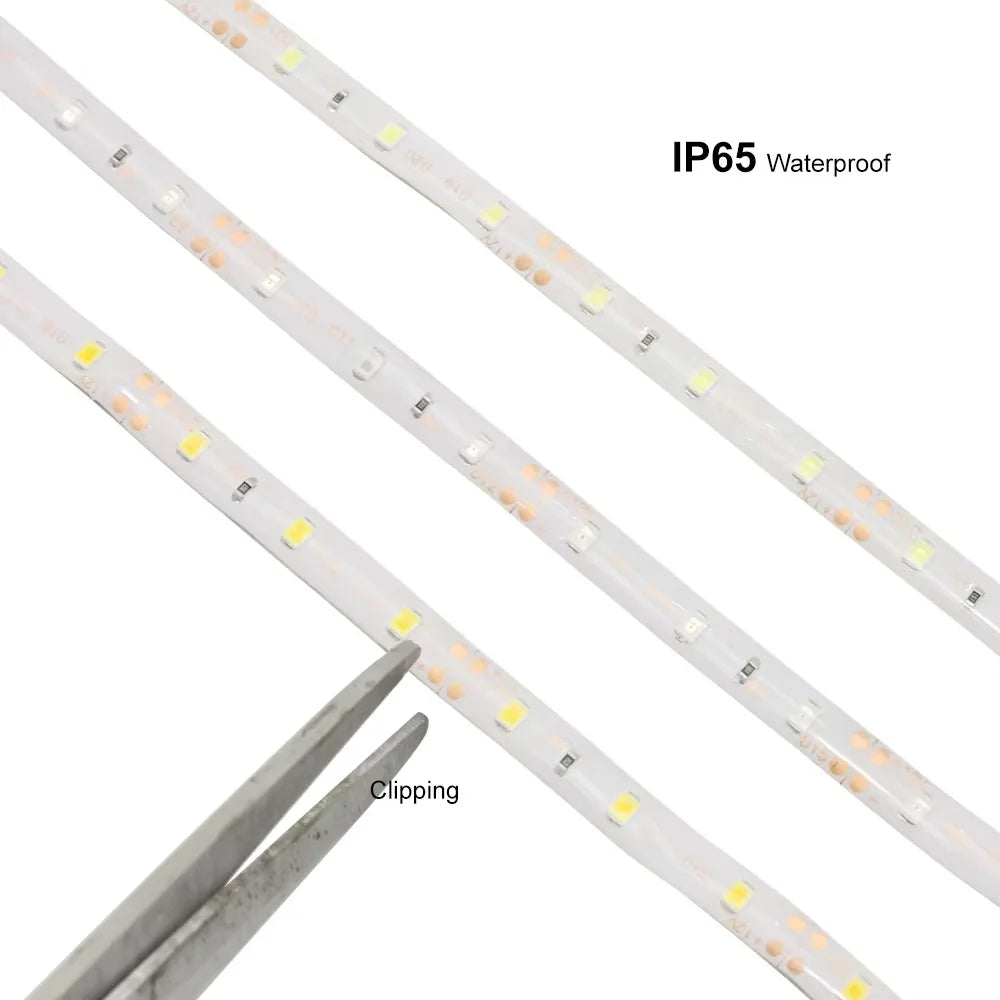 Fita de LED Flexível DC 12V 5m SMD 2835 300 LEDs, Guirlanda de Natal, Fita de Diodo, Pacote com 1 Unidade