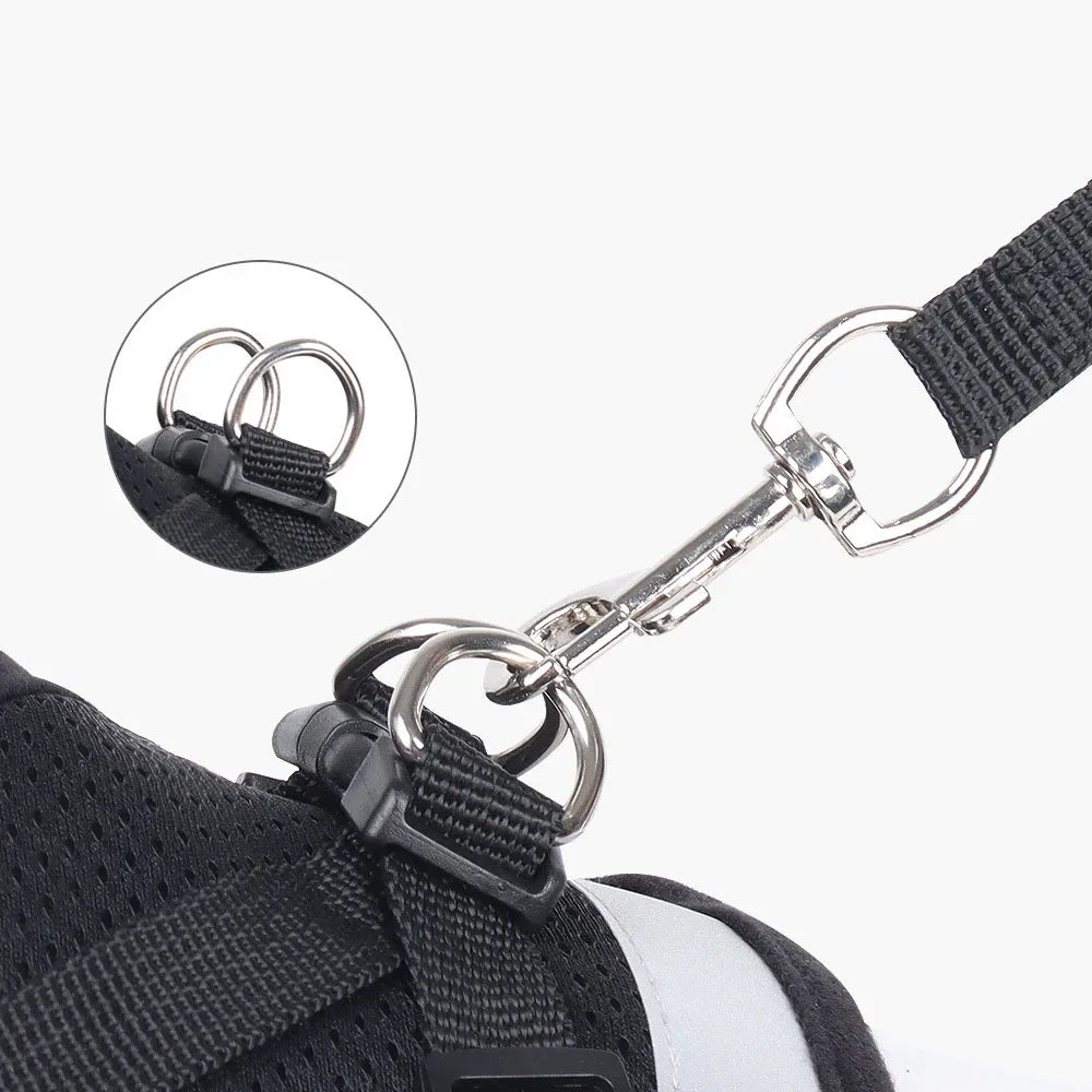 Conjunto de Coleira para Gato, Colete Ajustável Refletivo Anti-Fuga, Coleira para Cães Pequenos, Suprimentos para Filhotes e Gatos