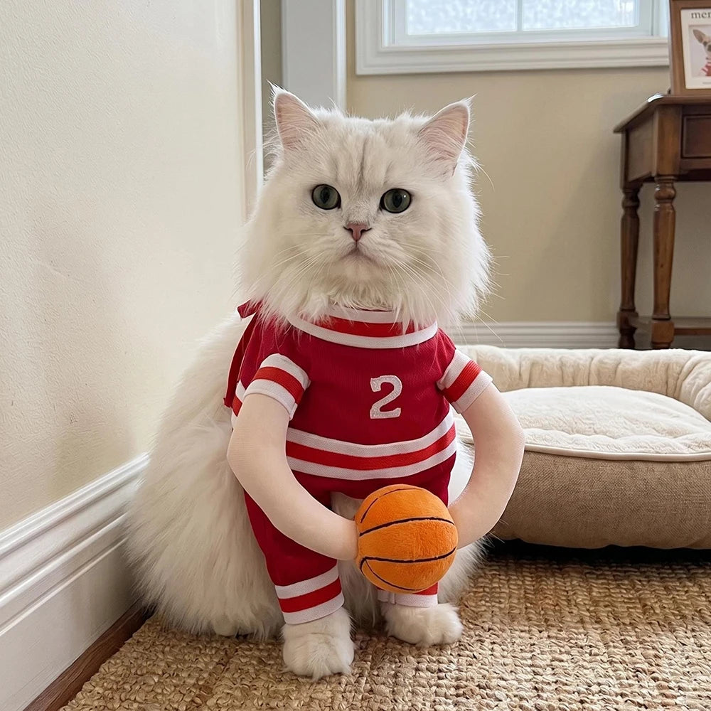 Fantasia de Basquete para Pets de Halloween com Bola 3D, Roupa Divertida de Cosplay Esportivo para Cães Pequenos e Médios, Vestuário para Pug, Sessões de Fotos e Brincadeiras
