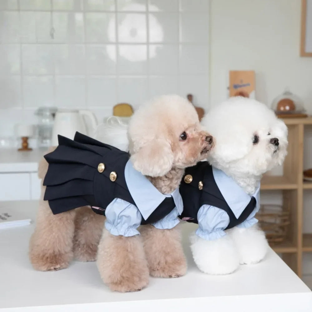 Bonito uniforme escolar plissado para Pet, camisa do cão, gato e cão roupas, saia de pelúcia, INS, outono, inverno