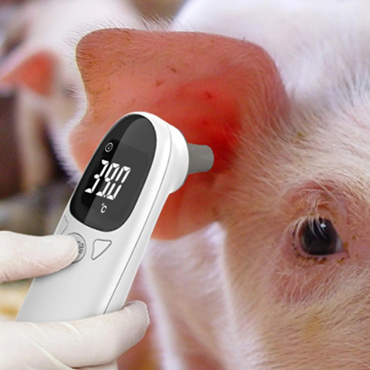 Termômetros para Animais de Estimação para Cães, Termômetros Veterinários, Dispositivo Preciso para Detecção de Febre em Animais de Estimação, Suprimentos para Animais de Estimação, Termômetros Veterinários