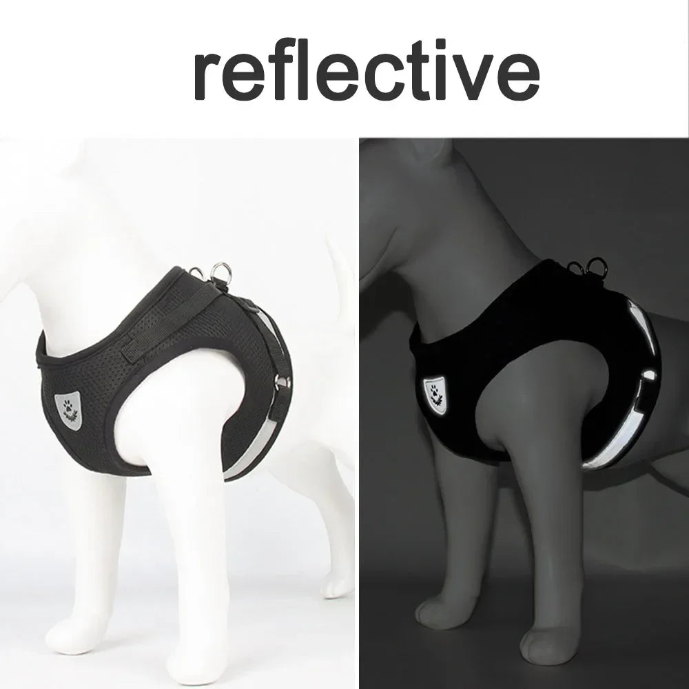 Conjunto de coleira de chumbo para gatos, ajustável, reflexivo, à prova de fuga, colete de malha para animais de estimação, coleira para cachorro, cachorro pequeno, gato, suprimentos para animais de estimação
