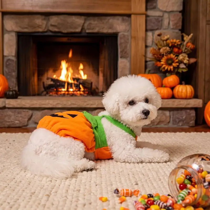 Fantasia de Abóbora para Animais de Estimação de Halloween, Vestido Fofo para Pets, Roupa Engraçada de Abóbora para Cães Pequenos, Gatos, Teddy, Poodle, Bichon, Roupas para Festa