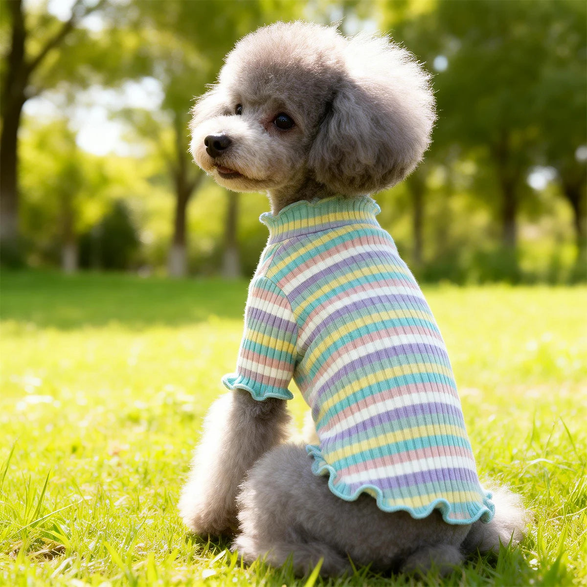 Roupas para Cães e Filhotes: Colete, Camiseta, Camisa, Vestido e Saia Fofos de Primavera, Camiseta de Base e Fantasia para Cães