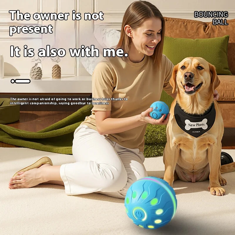 Bola de brinquedo para animais de estimação, bola elétrica para cães, brinquedo interativo recarregável por USB, bom companheiro para cães