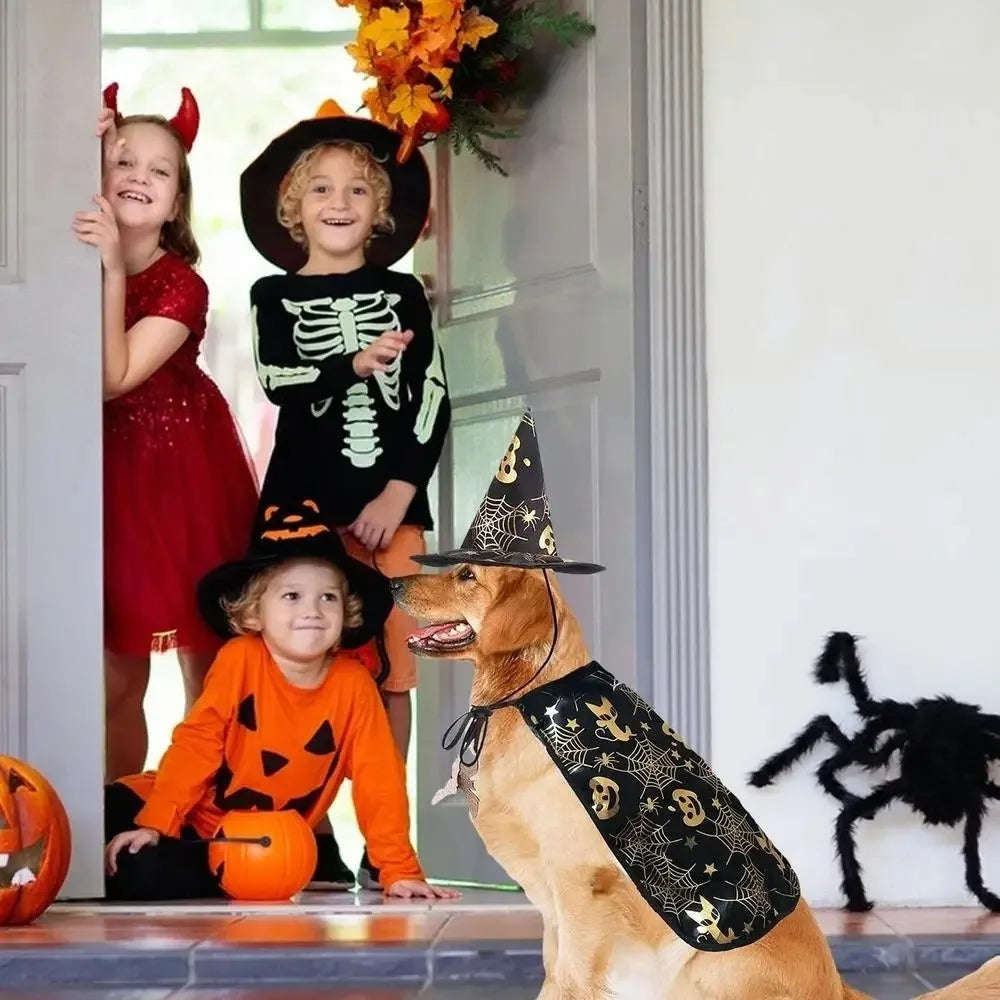 Engraçado abóbora animal de estimação trajes de halloween capa ajustável macio gatos cosplay roupas morcego preto halloween animal de estimação vestuário festa