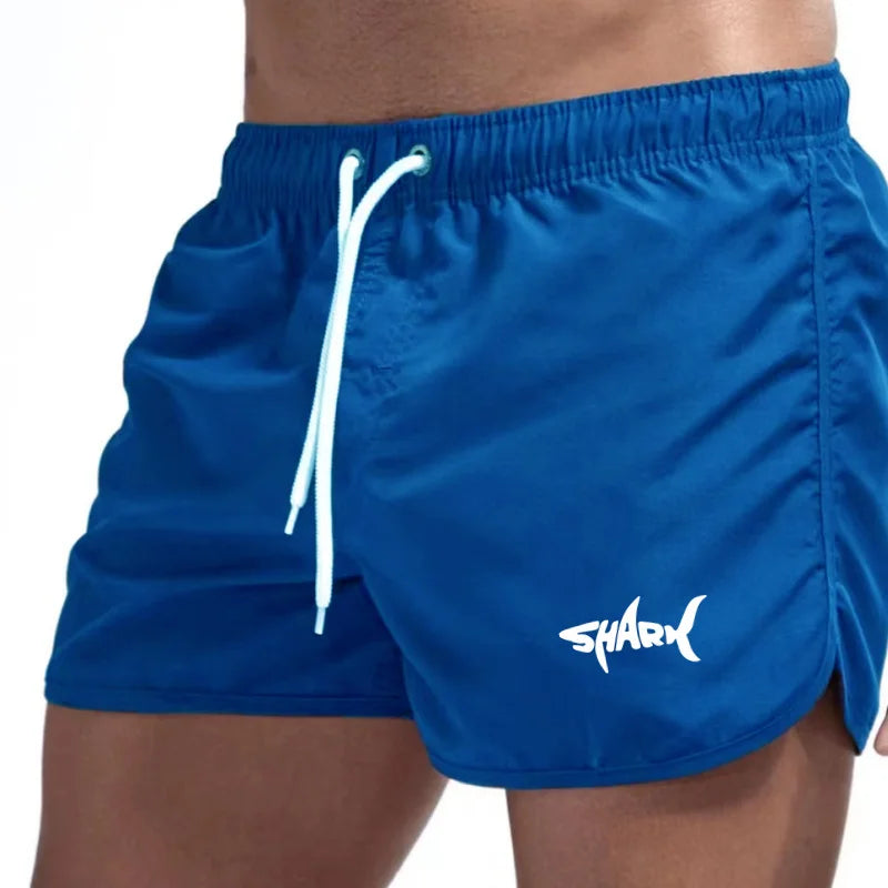 Men's Summer Mesh Quick-Drying Sports Shorts Casual Breathable Beach Pants for Outdoor Running Fitness