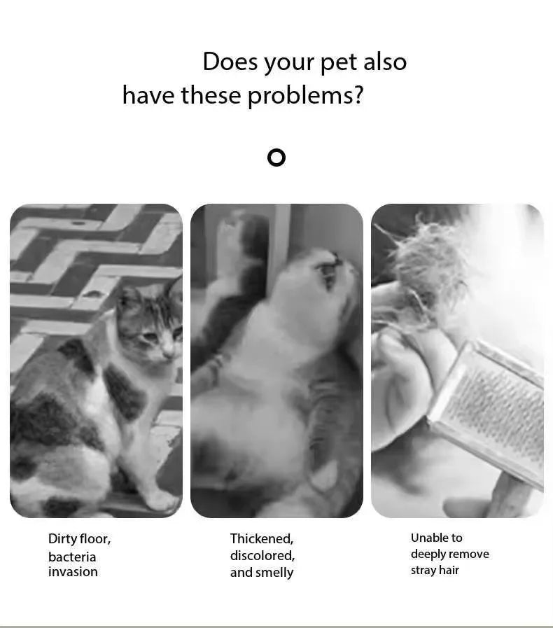 Pet Spray Hair Comb Pet Hair Remover Cleaning Brush Cats Grooming Dog Accessories Tools Dematting Water Mist Humidifier Comb