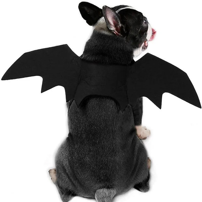 Asas de Morcego para Animais de Estimação de Halloween, Acessórios de Cosplay para Gatos e Cães, Adereços de Transformação para Festas Festivas com Atmosfera Divertida