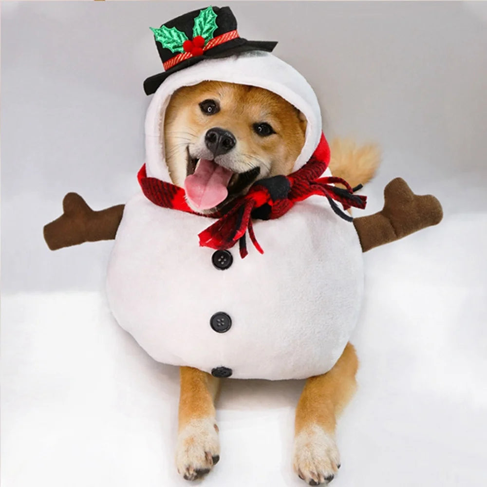 Halloween abóbora roupas para cães engraçado pet cães cosplay trajes conjuntos de halloween traje do cão roupas cômicas pet gato festa roupas