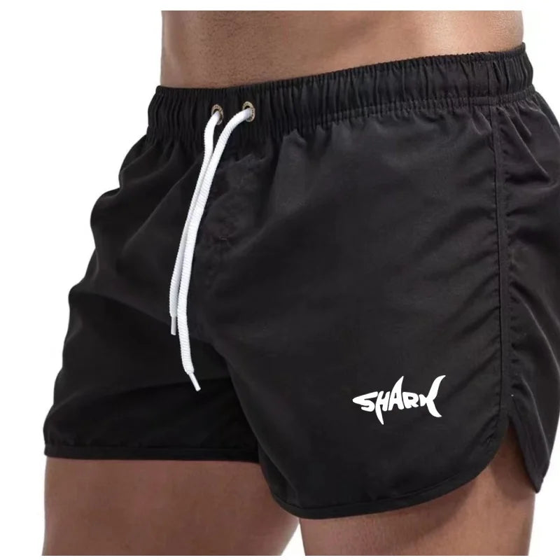 Men's Summer Mesh Quick-Drying Sports Shorts Casual Breathable Beach Pants for Outdoor Running Fitness