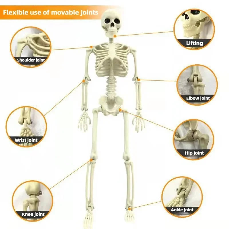 1PC Modelo de Esqueleto Humano Articulado Decoração de Halloween Fantasma Pendurável Casa Assombrada Ornamento de Casa Artigos de Decoração DIY para Festa Assustadora ﻿