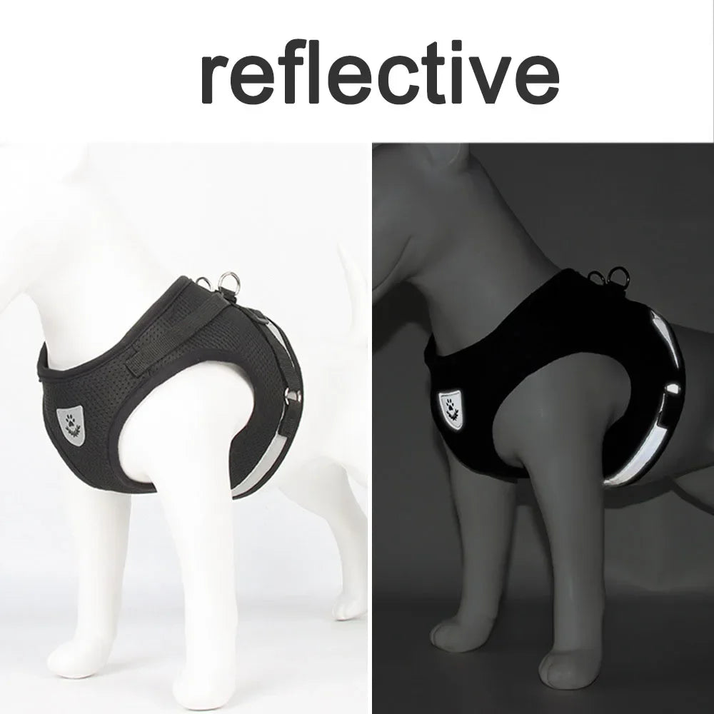 Conjunto de Coleira para Gato, Colete Ajustável Refletivo Anti-Fuga, Coleira para Cães Pequenos, Suprimentos para Filhotes e Gatos