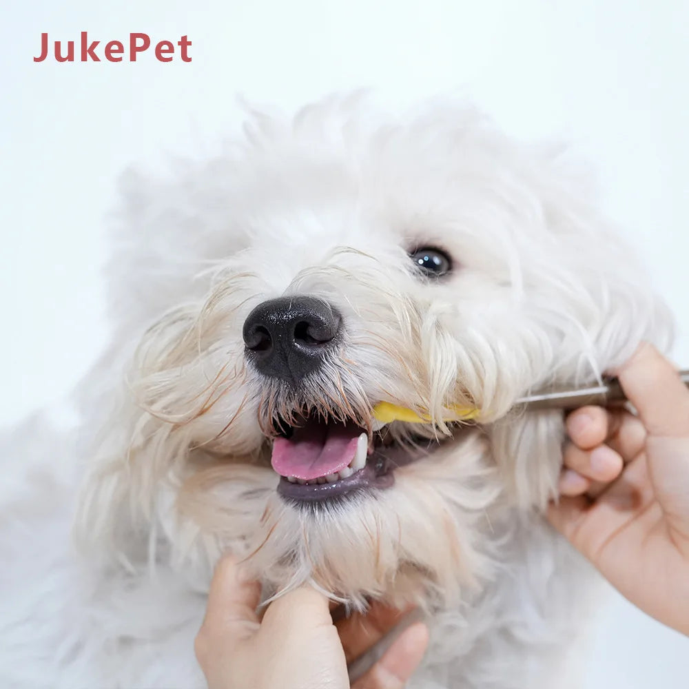Escova de Dentes para Animais de Estimação, Escova de Dentes Plástica para Cães, Remoção de Tártaro, Limpeza Bucal, Cuidados com Animais de Estimação, Limpeza Bucal para Gatos