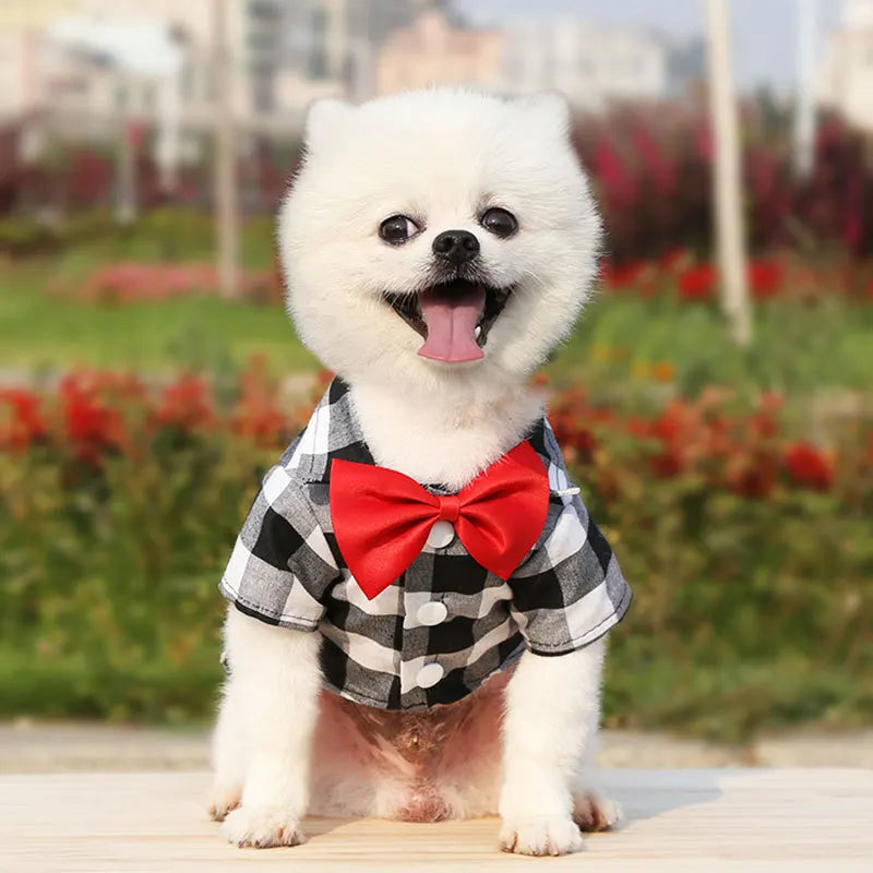 Cão de estimação roupas xadrez camisa terno gravata vestido primavera verão filhote de cachorro casaco teddy bear pomeranian colete pequeno-médio cão gato animal de estimação traje