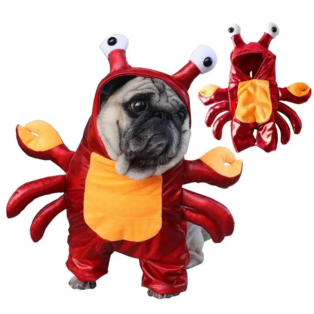 Halloween abóbora roupas para cães engraçado pet cães cosplay trajes conjuntos de halloween traje do cão roupas cômicas pet gato festa roupas