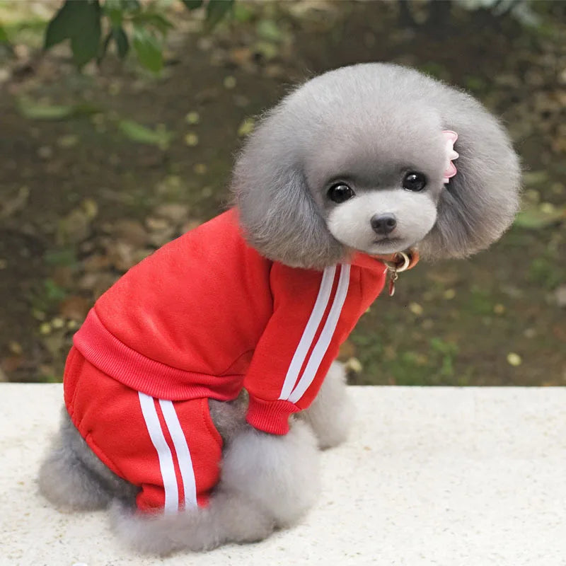 Primavera roupas para cães de estimação macacão para animais de estimação filhote de cachorro gato roupas para cão casaco grosso animais de estimação cães roupas chihuahua york