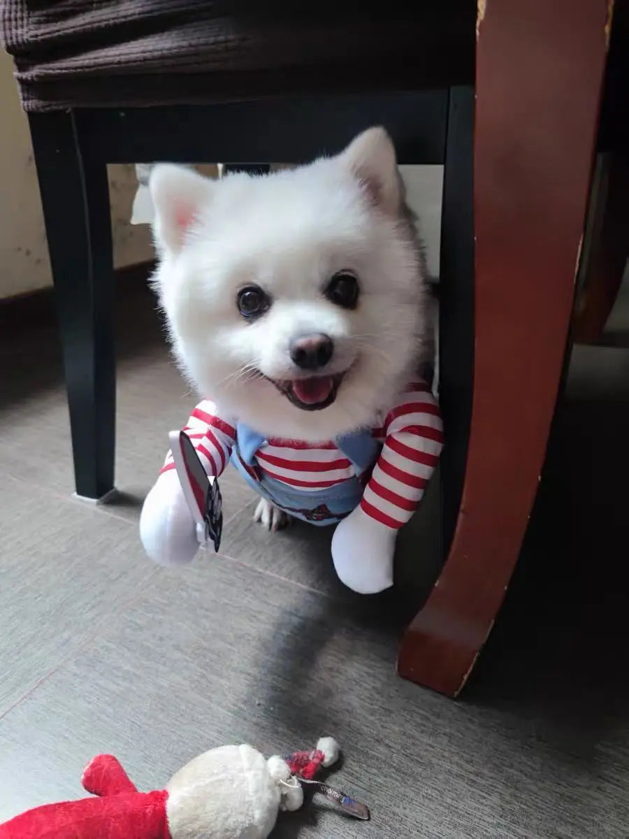 Fantasia de Halloween para Animais de Estimação – Vestido para Cães Pequenos e Médios – Roupa Divertida e Estilosa para Cães e Gatos Brincando com Roupas Engraçadas