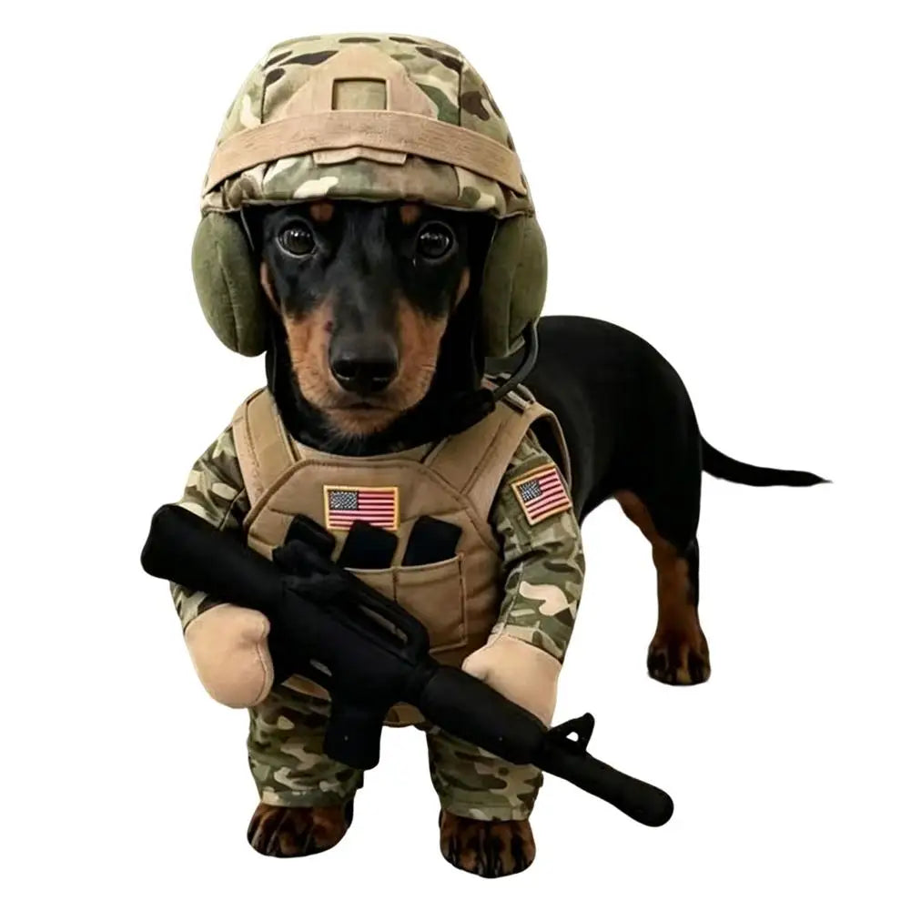 Uniforme tático para animais de estimação, fantasia de soldado para Halloween para cães e gatos, arnês tático para cães com chapéu, roupa militar divertida.