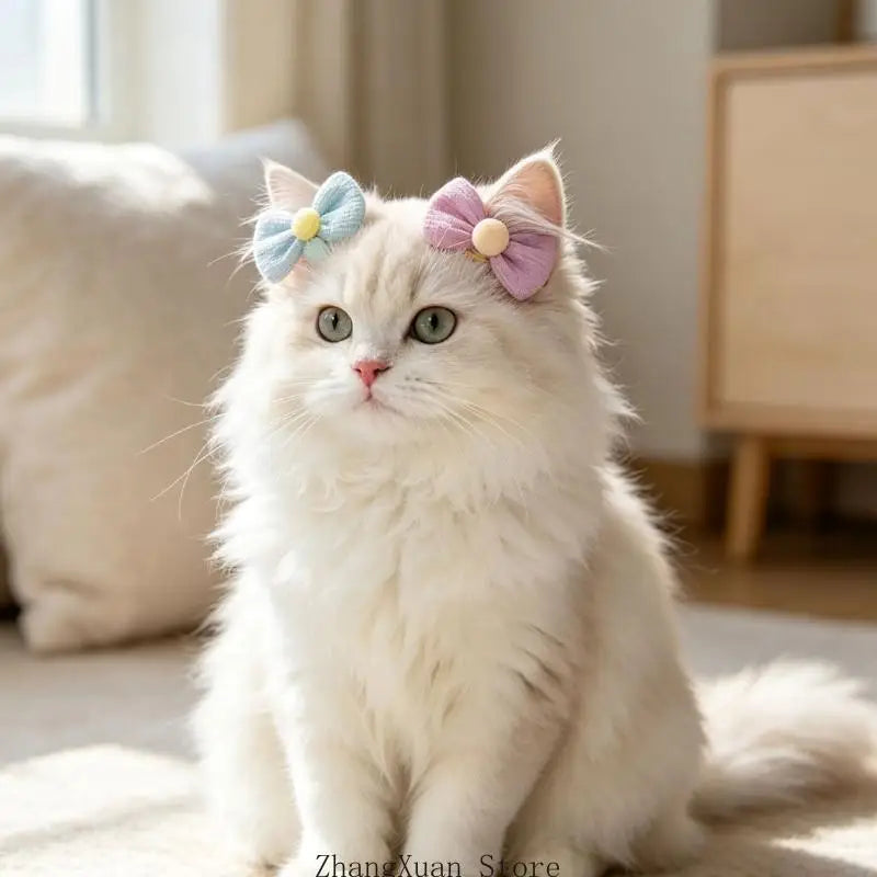 Acessórios cabelo para fotos animais estimação para cães e gatos, 14 peças com cores variadas e faixas elásticas para