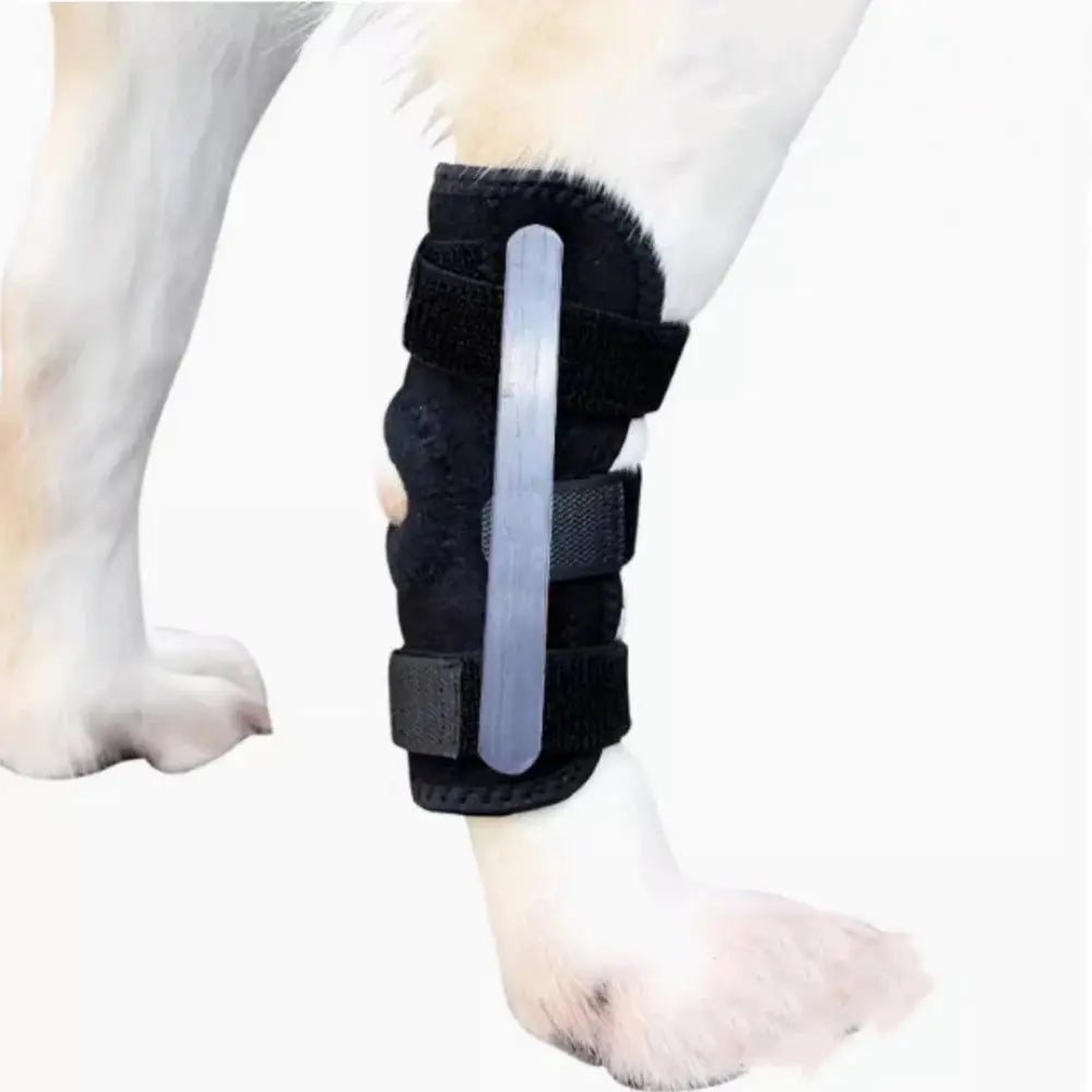 Cinta auxiliar para perna traseira de cachorro, tala de fixação de fratura para proteger as articulações, distorção de gato, suprimentos para animais de estimação Kasa & Pet