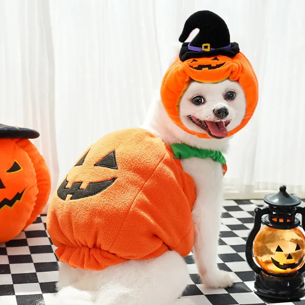 Fantasias de Halloween para Cães, Traje Engraçado de Abóbora Lanterna, Roupa de Transformação para Cães e Gatos de Duas Patas, Chapéu de Abóbora Fofo, Jaqueta para Cães