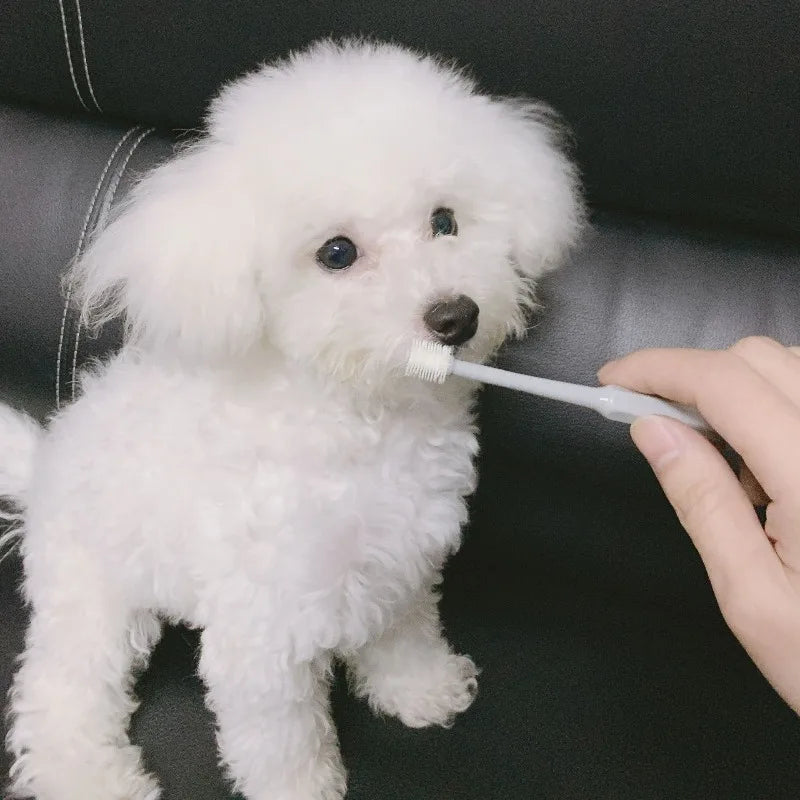 360 °   Escova de Dentes para Animais de Estimação, Escova Macia para Limpeza Bucal de Cães, Escova de Cuidado Dental para Gatos