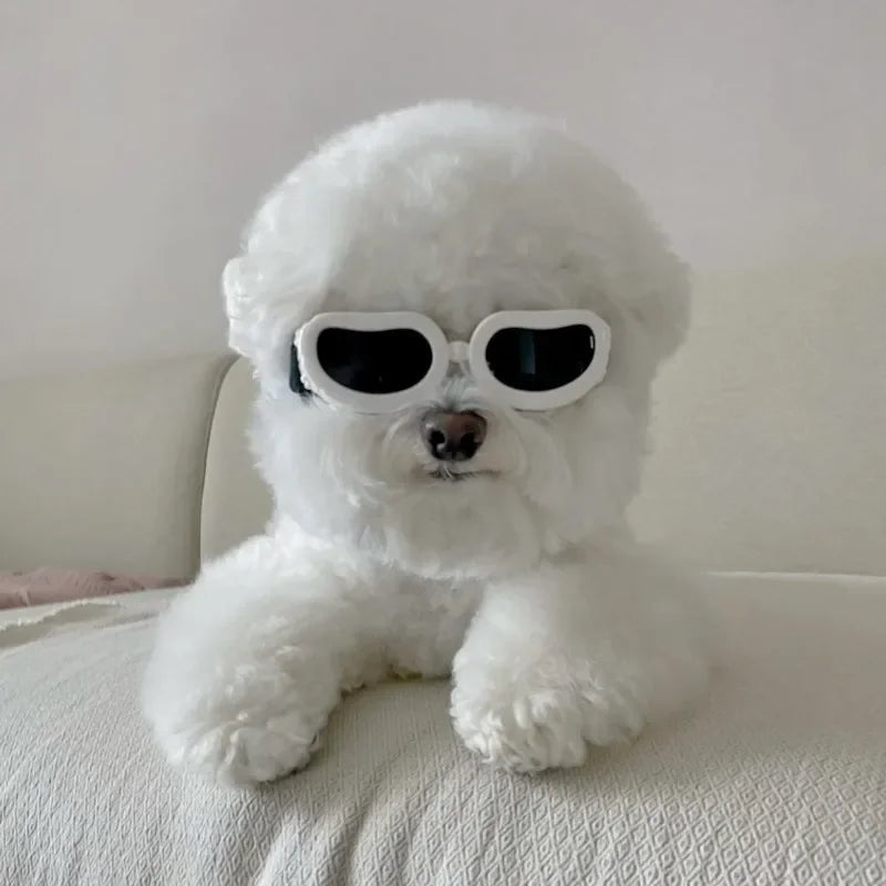 Suprimentos para animais de estimação moda gatos cães óculos de sol à prova de vento à prova de poeira óculos para viagens ao ar livre óculos de proteção uv verão