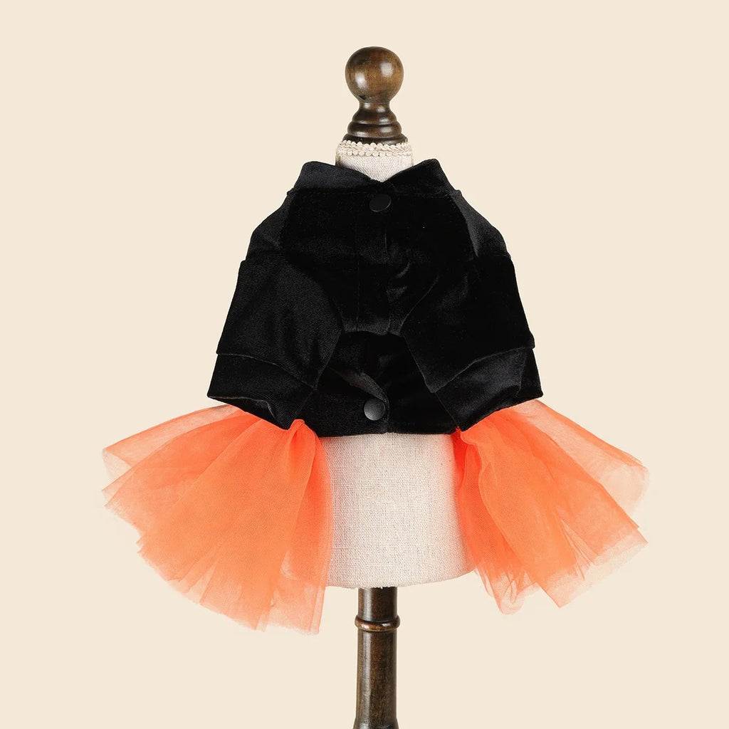 Fantasias de Halloween para Cães: Vestido Elegante para Pets com Saia Tutu – Colete para Cadelas de Outono/Inverno, para Poodles e Raças Pequenas, Gatos