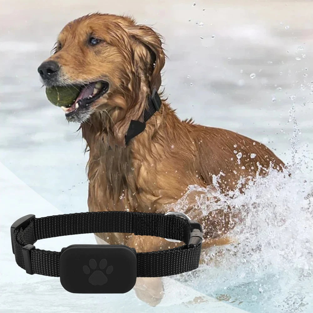 Rastreador GPS para animais de estimação com coleira ajustável Rastreador de cães Localizador inteligente de animais de estimação Rastreador de gatos para cães e gatos