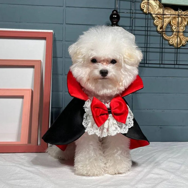 Halloween Manto Vampiro para Pet, Fantasias Cosplay para Cachorro de Gato Pequeno Médio, Roupas do Festival de Natal Kawaii