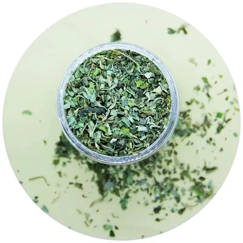 Brinquedo Interativo para Gatos com Sabor de Menta de Catnip 100% Natural e de Alta Qualidade, Novo Brinquedo para Gatos, Suprimentos para Animais de Estimação