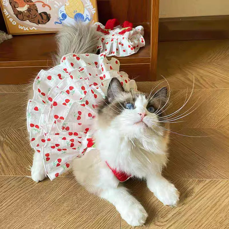 Vestido para animais de estimação para cães e gatos – Roupas estampadas estilo bolo em camadas, vestuário de raça pequena e média, adorável roupa de verão