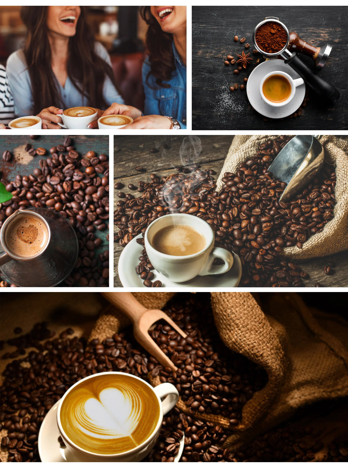 Sonifer-Elétrica Torrador De Feijão De Café, Cozimento Fogão, Pipoca Make Dryer, Secagem De Grãos, Feijão De Amendoim