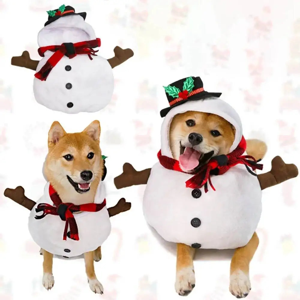 Halloween abóbora roupas para cães engraçado pet cães cosplay trajes conjuntos de halloween traje do cão roupas cômicas pet gato festa roupas