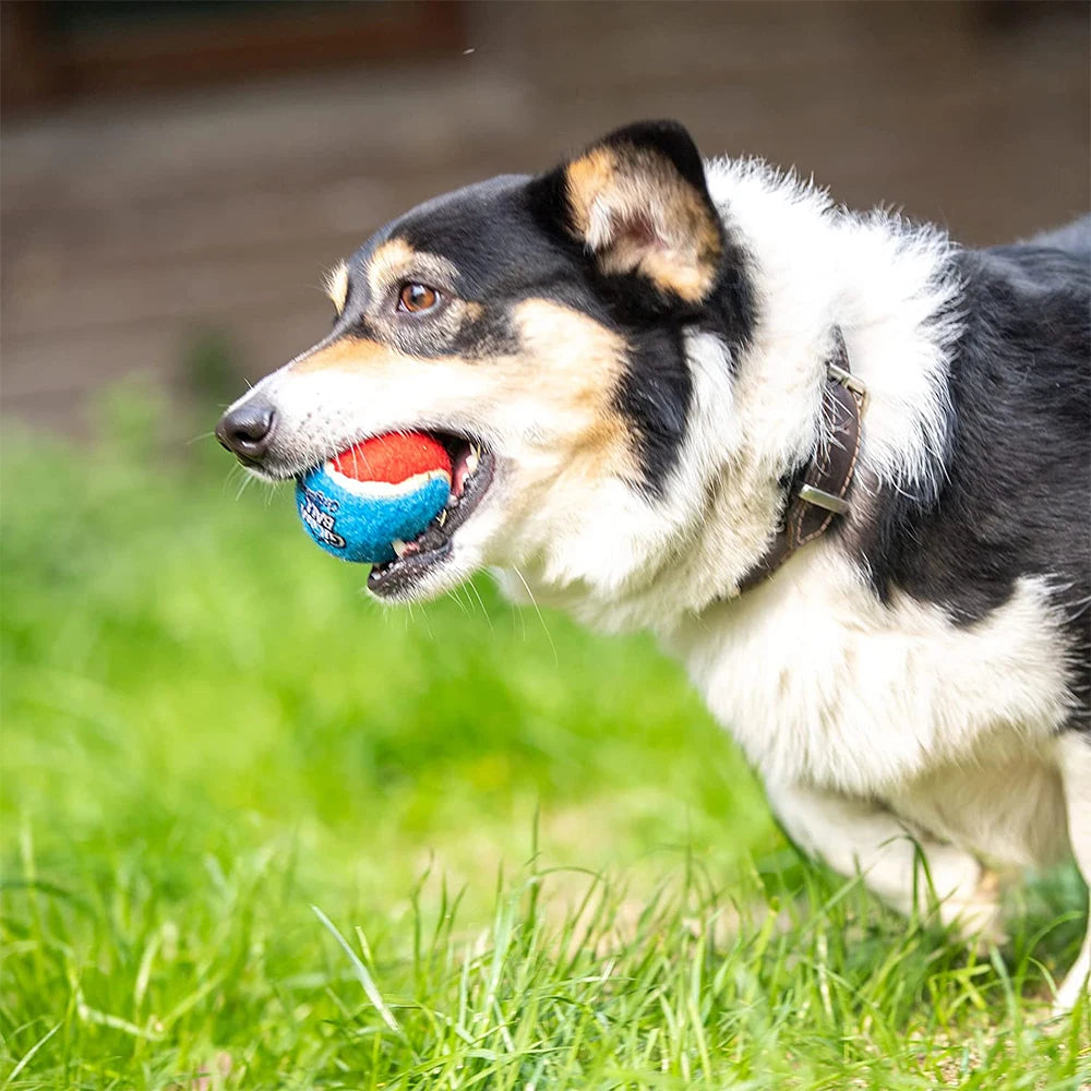 Bola de tênis estridente para cães de estimação, brinquedos interativos para cães, bola de borracha com som de alto salto para treinamento de cães, bola de brincar ao ar livre, presente para cachorros
