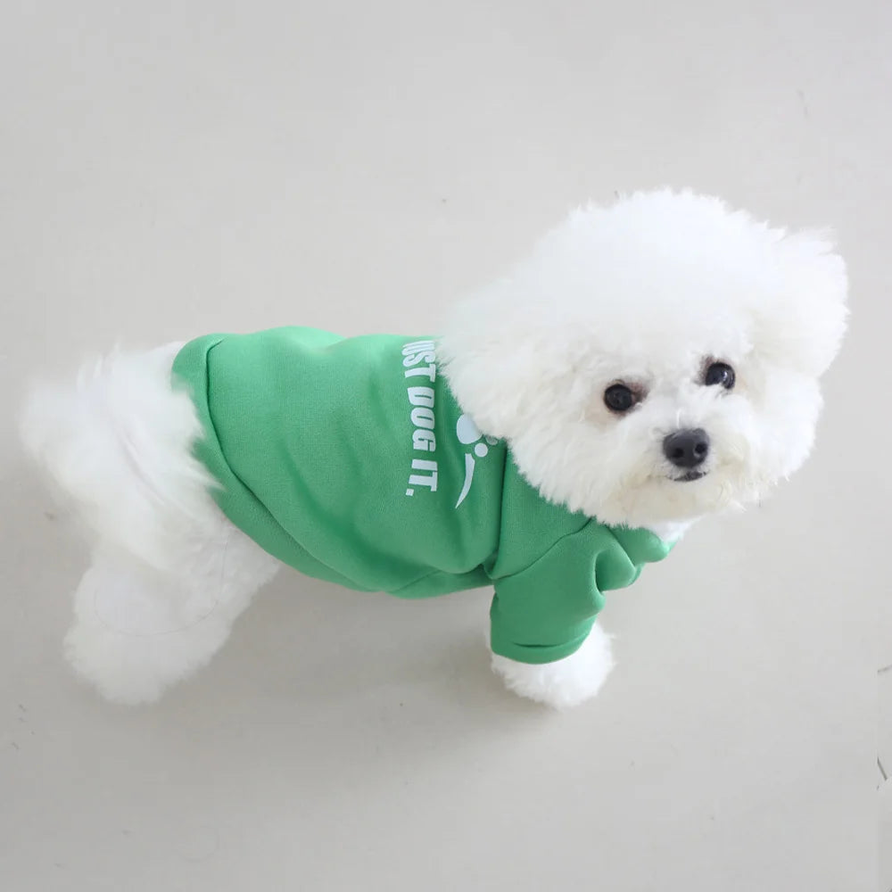 Roupas para animais de estimação de outono e inverno, bonito inglês carta veludo em torno do pescoço com capuz, super fofo gato e cachorro roupas universais, fashionab