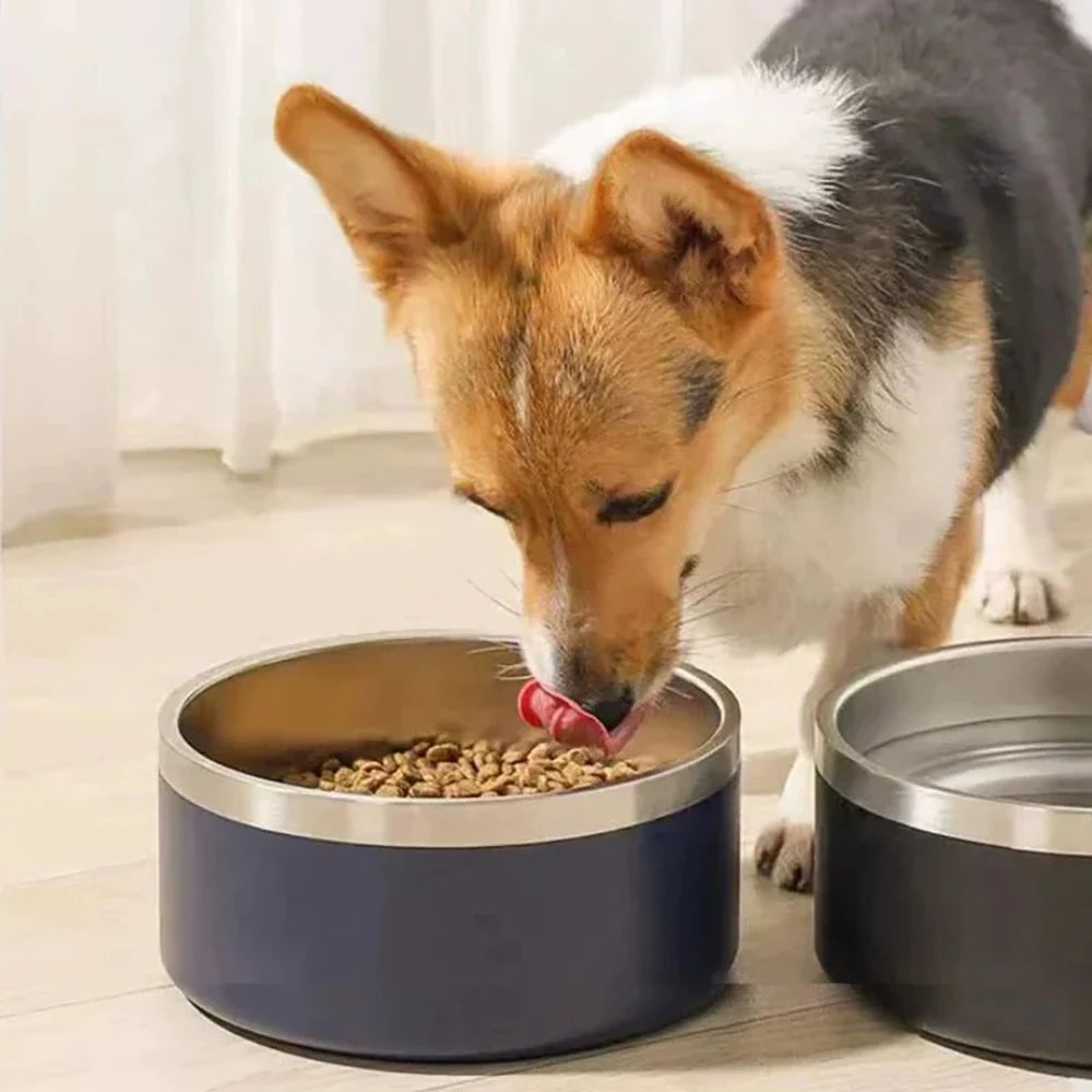 Tigela Personalizada de Aço Inoxidável para Cães e Gatos, Tigela de Alimentação a Vácuo Dupla, Grande Capacidade para Ração e Água