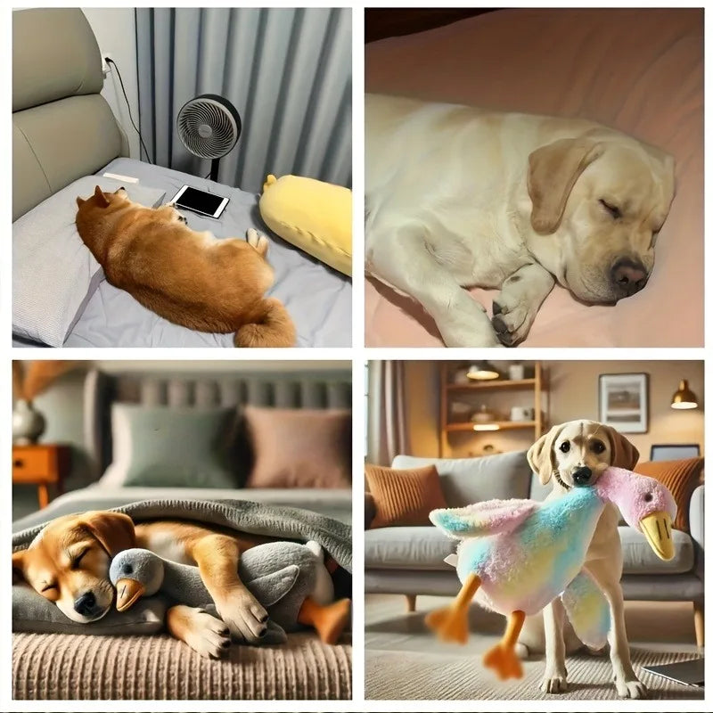 50cm macio colorido pato brinquedo de pelúcia para gatos cães relaxar companheiro de animais de estimação alívio de ansiedade cão amigo liberação de energia presente para animais de estimação