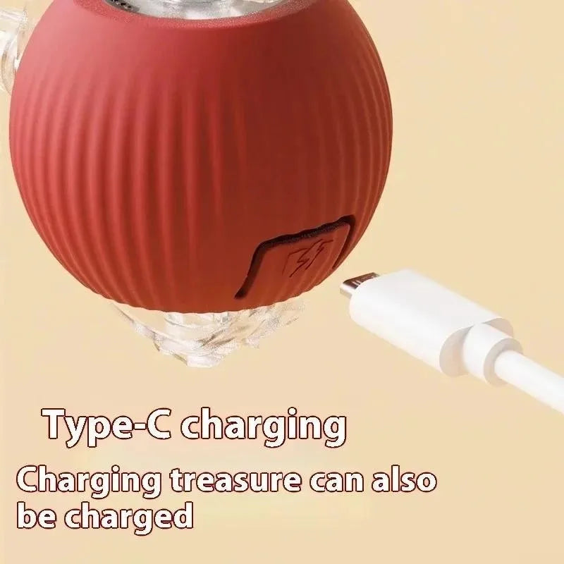 Automatic Toy for Cats Interactive Ball with Motion Sensor and Fake Tail Safe Design That Doesn't Hurt