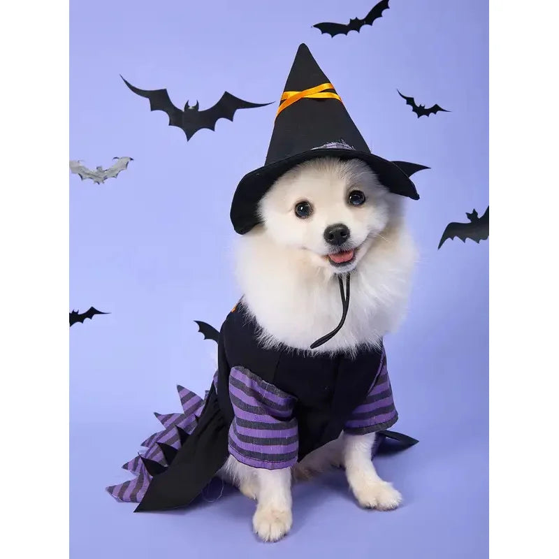 Fantasia de Bruxa para Animais de Estimação de Halloween com Chapéu, Vestido de Bruxa para Cães e Gatos, Roupa de Cosplay para Filhotes e Gatinhos, Fantasia para Festa de Fim de Ano