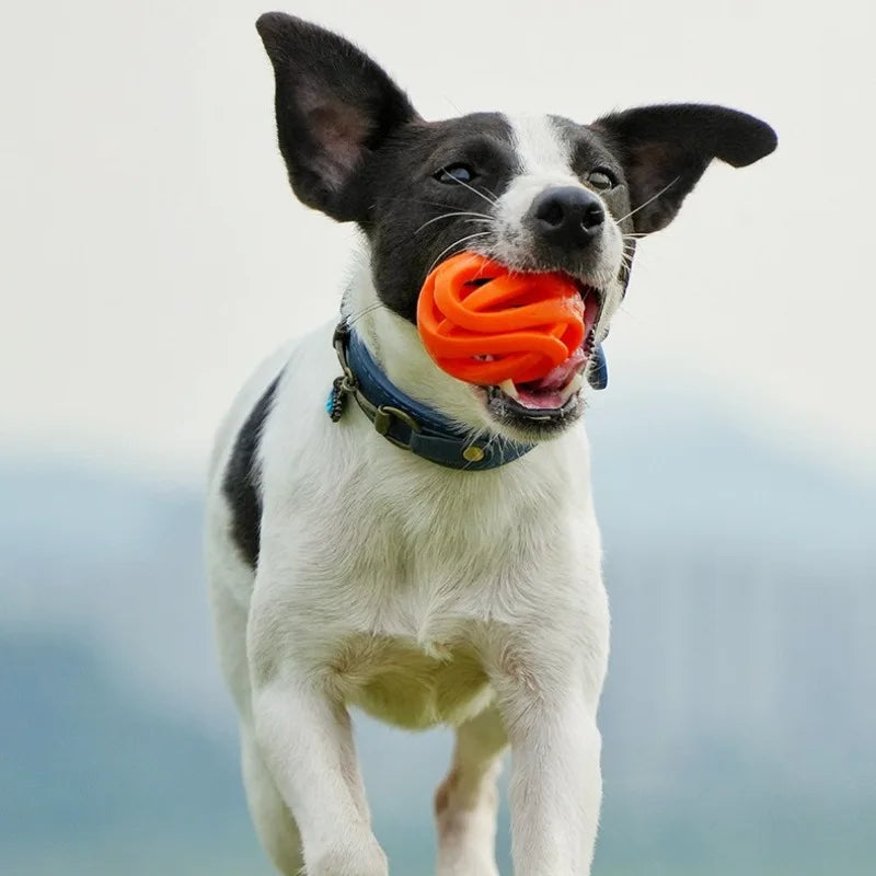 Brinquedos para Animais de Estimação - Bolas de Mastigar Resistentes a Mordidas - Bolas Ocas Elásticas - Bolas de Treinamento - Brinquedos de Entretenimento e Relaxamento - Suprimentos para Animais de Estimação