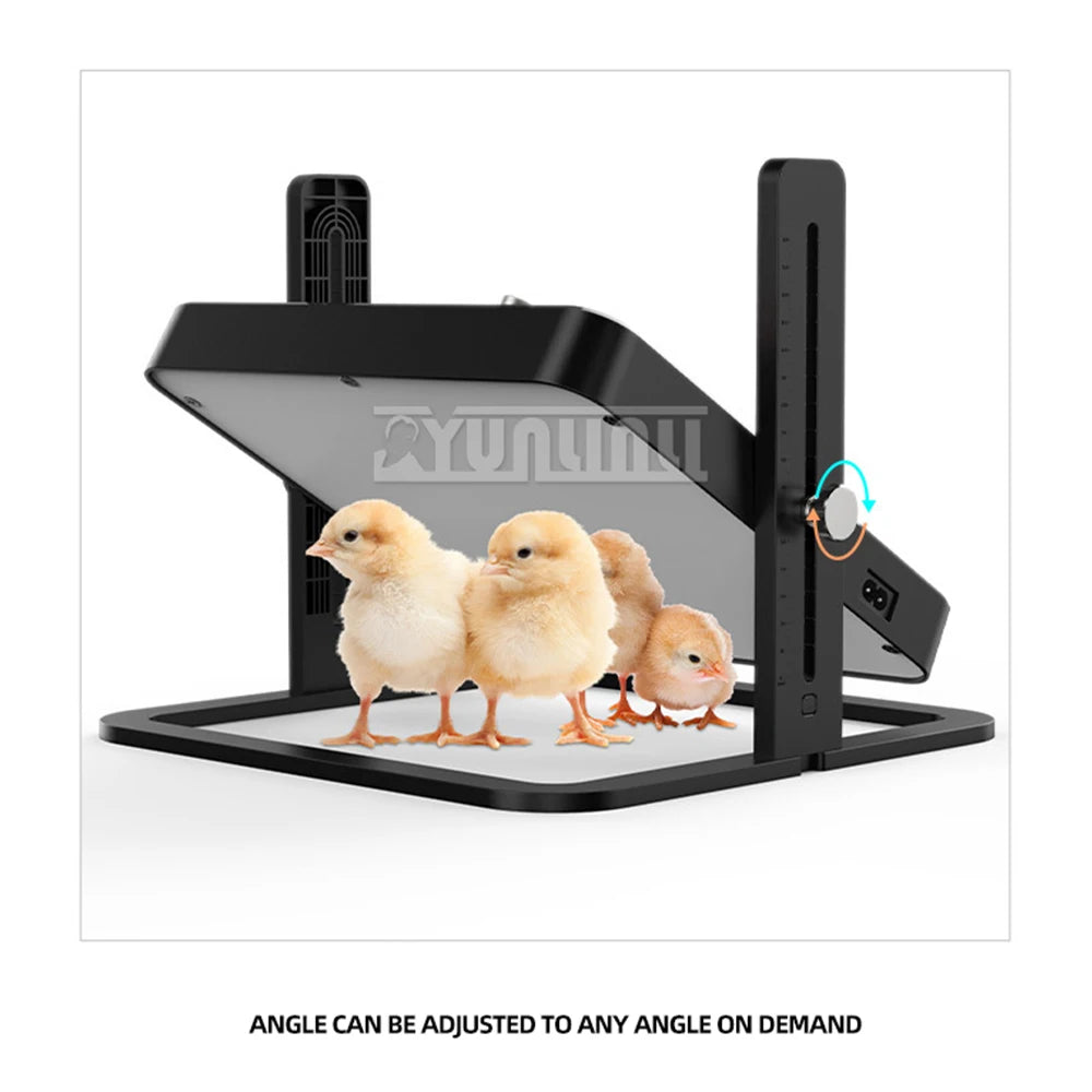 Placa de aquecimento para animais de estimação temperatura ajustável aquecedor para animais de estimação design aquecedor para galinhas cães gatos pássaros 2025 novo