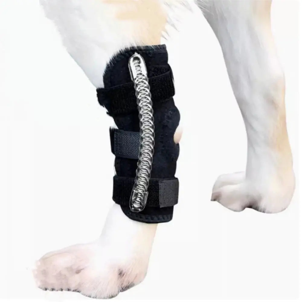 Cinta auxiliar para perna traseira de cachorro, tala de fixação de fratura para proteger as articulações, distorção de gato, suprimentos para animais de estimação Kasa & Pet